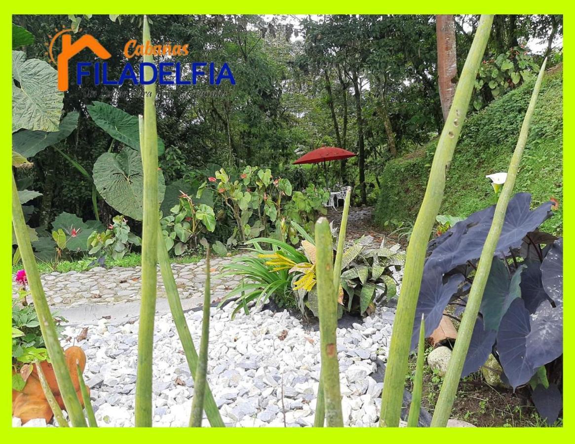 Cabanas Filadelfia Santa Rosa de Cabal Eksteriør billede