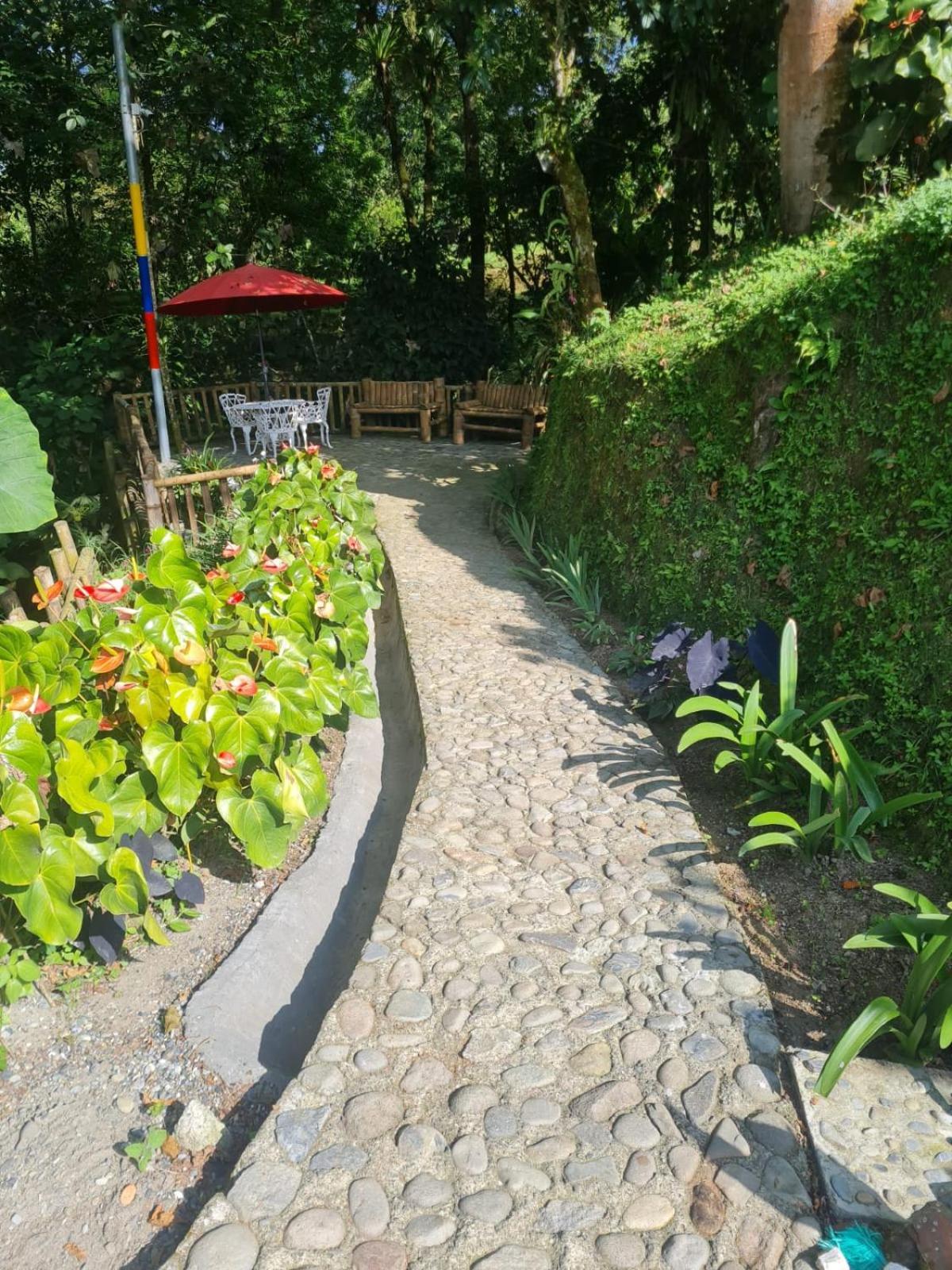 Cabanas Filadelfia Santa Rosa de Cabal Eksteriør billede